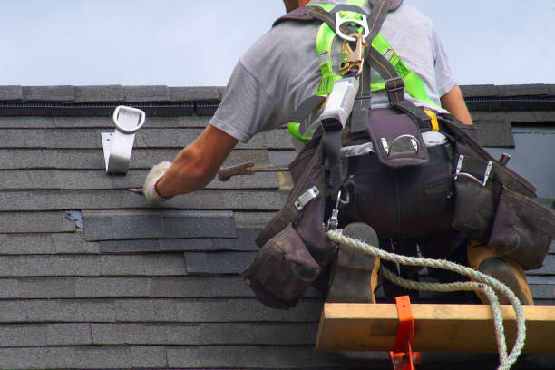 Professional Roofing Contractor in Woodville, MS