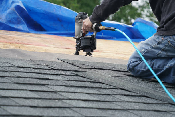 Best Metal Roofing Contractor  in Woodville, MS